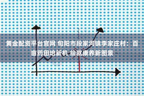 黄金配资平台官网 旬阳市段家河镇李家庄村：百亩药田培新机 绘就康养新图景