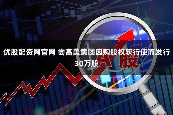 优股配资网官网 尝高美集团因购股权获行使而发行30万股