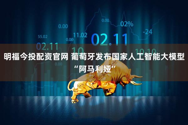 明福今投配资官网 葡萄牙发布国家人工智能大模型“阿马利娅”